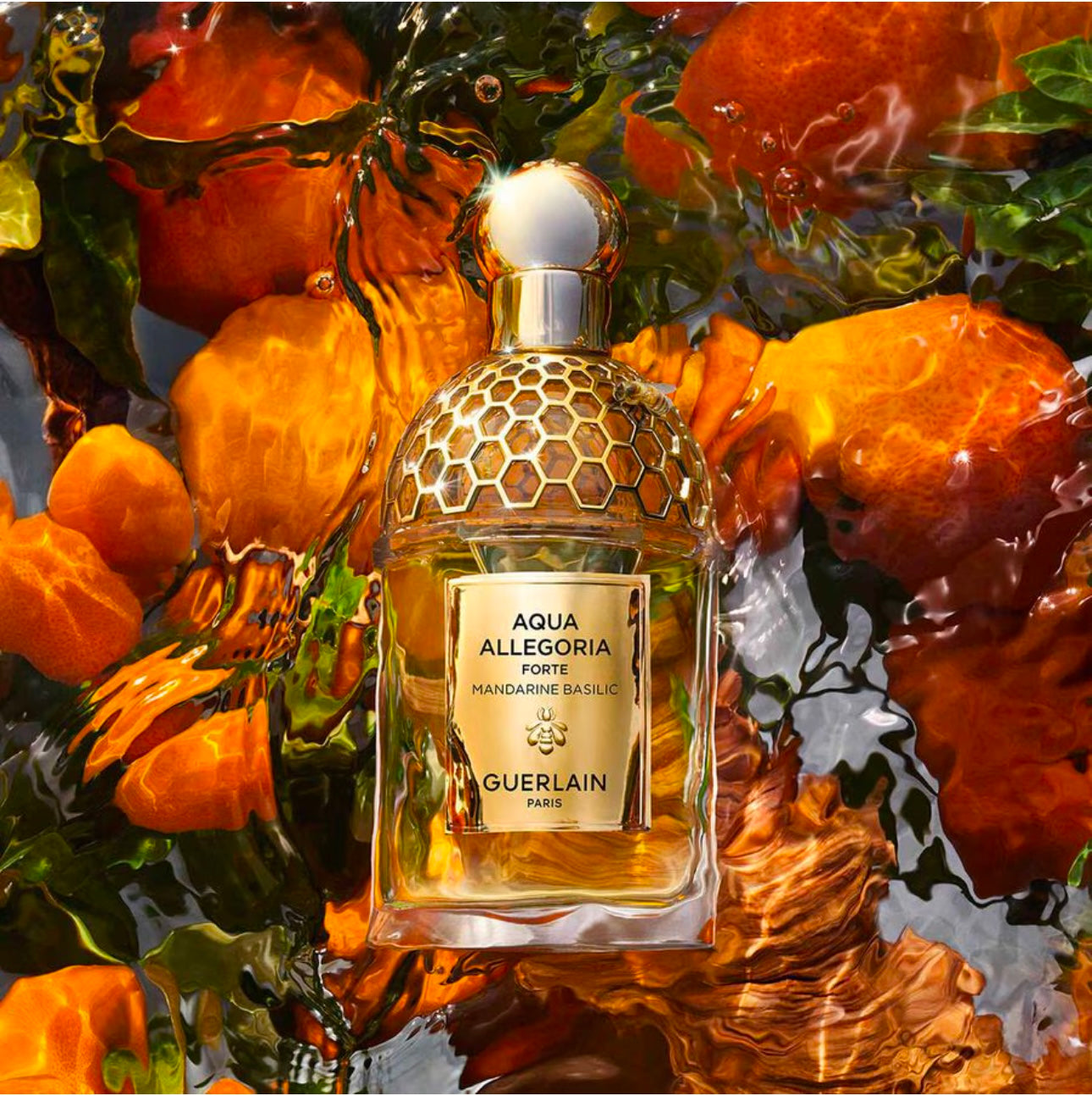 Aqua Allegoria Mandarine Basilic Forte - Eau de Parfum 75 ml EDP