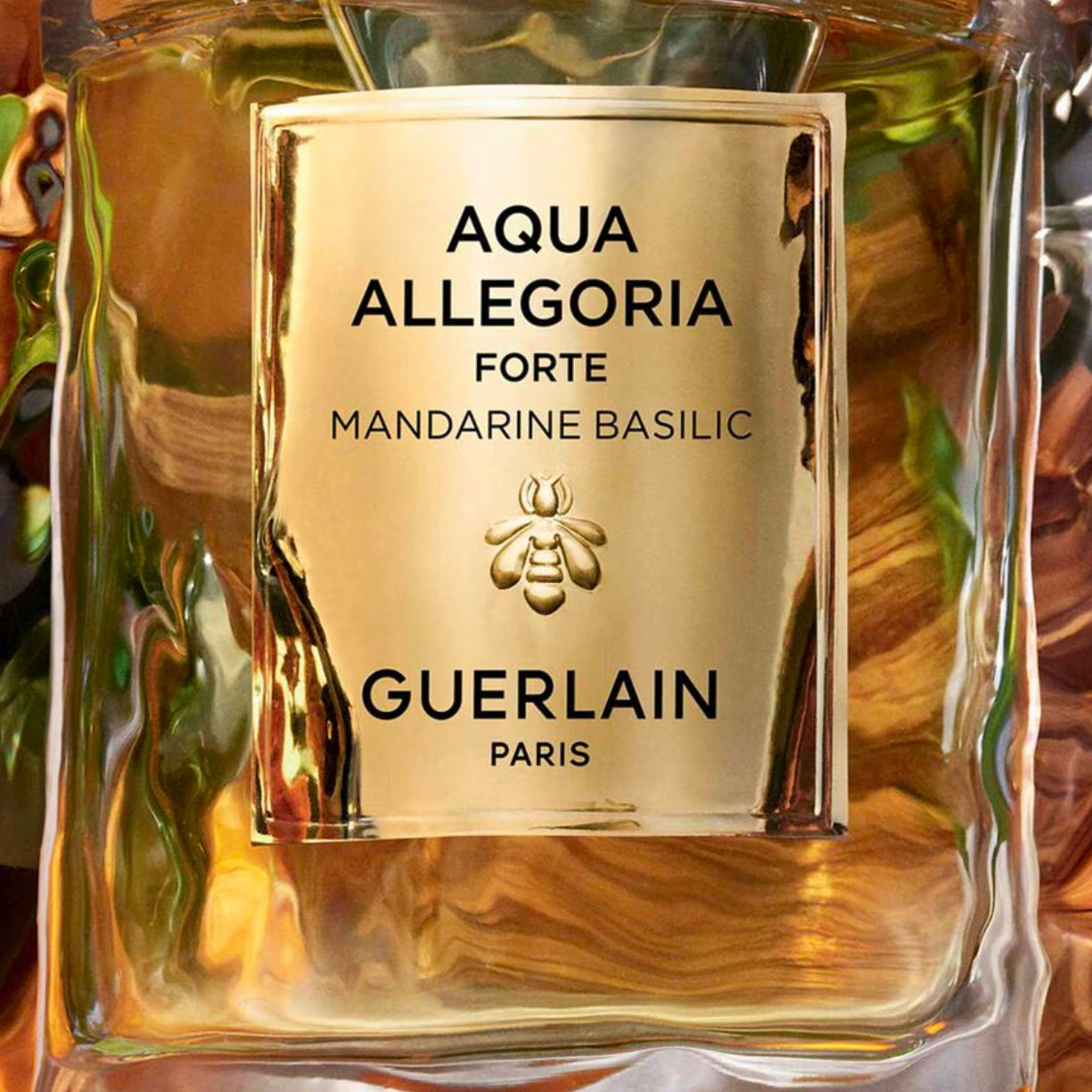 Aqua Allegoria Mandarine Basilic Forte - Eau de Parfum 75 ml EDP