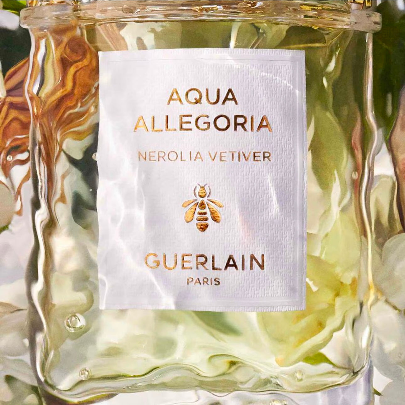 AQUA ALLEGORIA Nerolia Vetiver - Eau de Toilette 75 ml EDT